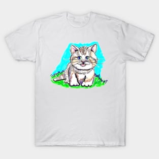 The cat Juan T-Shirt